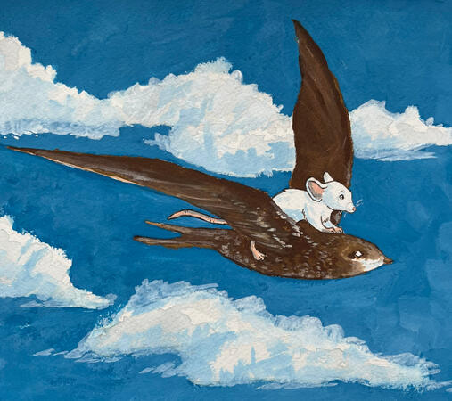 How to train your swift